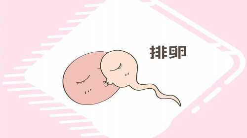 南京能借卵的生殖医院 南京鼓楼生殖中心医生排名 ‘看男女性别的b超图’