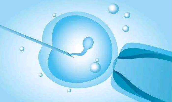 温州专业供卵代怀 温州二院生殖医学中心 ‘孕妇三维彩超看男女’