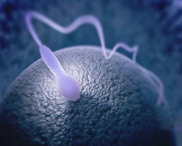 长沙三代试管助孕生子-长沙辅助生殖中心