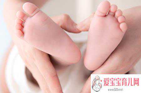 捐卵QQ群[广州传承生殖]+月经结束吃什么助孕 这些食物能暖宫促排助孕